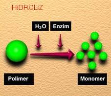 hidroliz